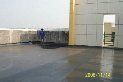 虎门防水补漏医生 专业高效，守护建筑健康