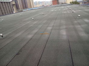 甘肃东方一代 专业防水防腐保温与水电维修服务专家